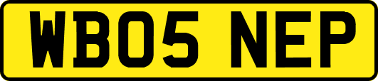 WB05NEP