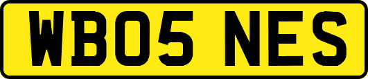 WB05NES