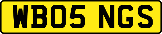 WB05NGS