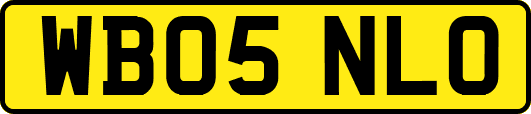 WB05NLO