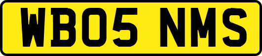 WB05NMS