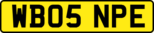 WB05NPE