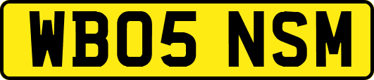 WB05NSM