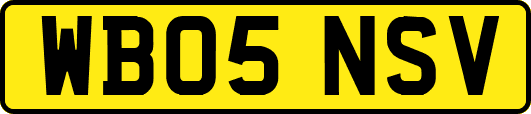 WB05NSV