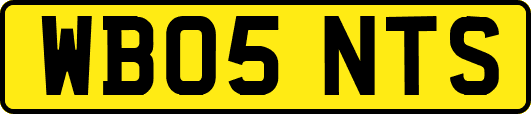 WB05NTS