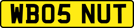 WB05NUT