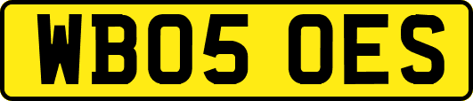 WB05OES