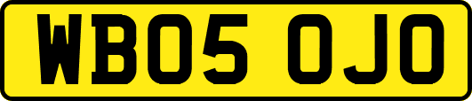 WB05OJO