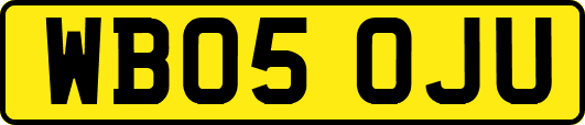 WB05OJU