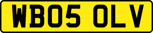 WB05OLV