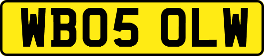 WB05OLW
