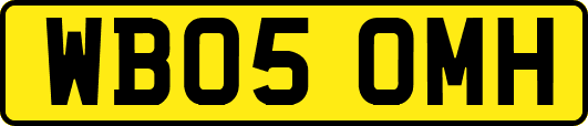 WB05OMH