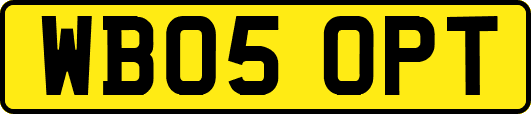 WB05OPT