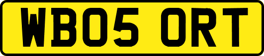 WB05ORT