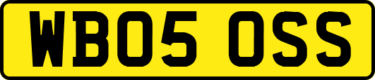 WB05OSS