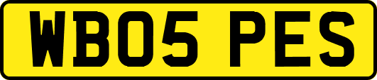 WB05PES