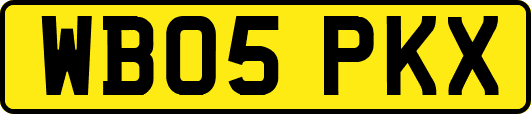 WB05PKX