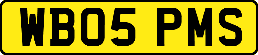 WB05PMS