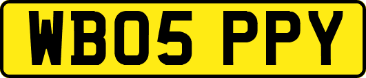 WB05PPY
