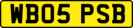 WB05PSB