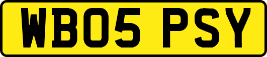 WB05PSY
