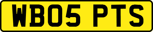 WB05PTS