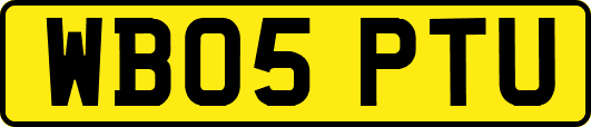 WB05PTU