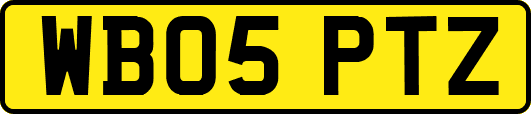 WB05PTZ