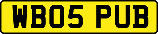 WB05PUB
