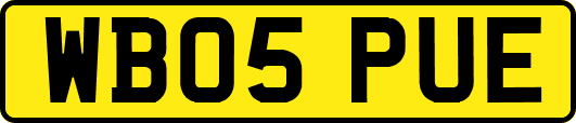 WB05PUE