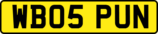 WB05PUN