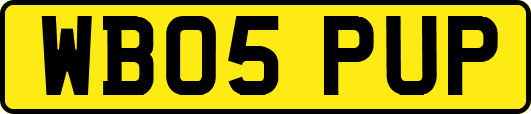 WB05PUP
