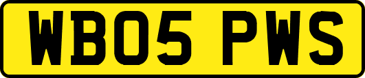 WB05PWS