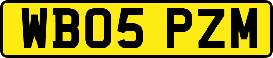 WB05PZM