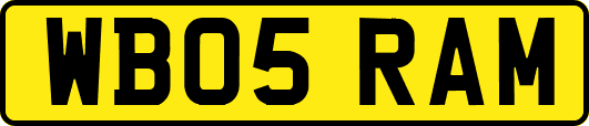 WB05RAM