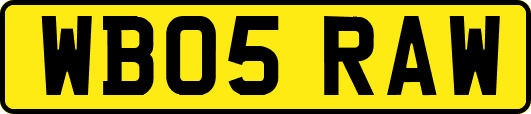 WB05RAW