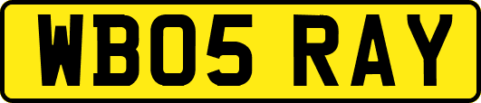 WB05RAY