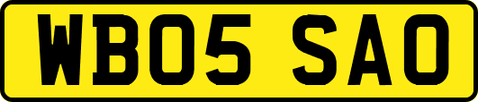 WB05SAO
