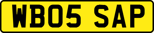 WB05SAP