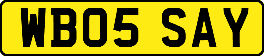 WB05SAY
