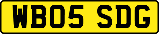 WB05SDG