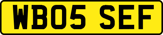 WB05SEF