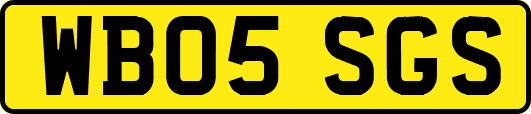 WB05SGS