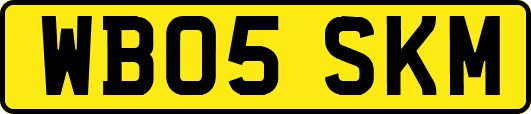 WB05SKM