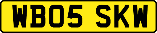 WB05SKW