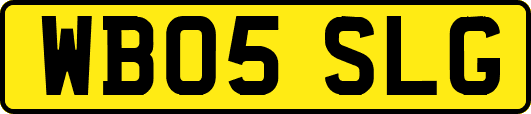 WB05SLG