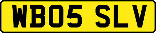 WB05SLV