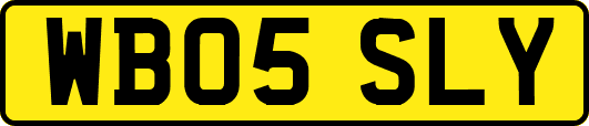 WB05SLY