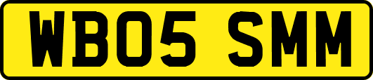 WB05SMM