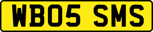 WB05SMS